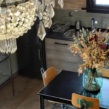 Apartment Basilicus *