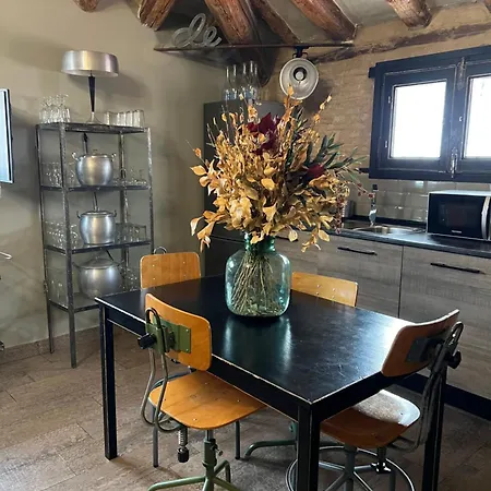 Apartment Basilicus *